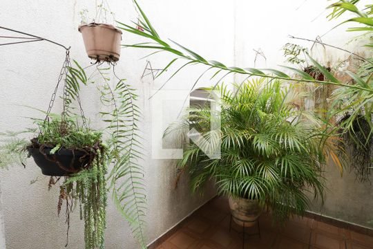 Jardim de casa à venda com 3 quartos, 350m² em Vila Barbosa, São Paulo