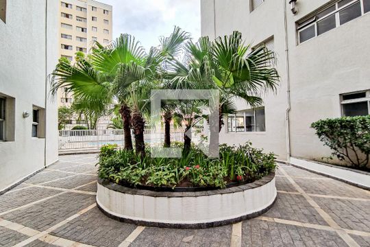 Área Comum de apartamento para alugar com 3 quartos, 80m² em Vila Mascote, São Paulo