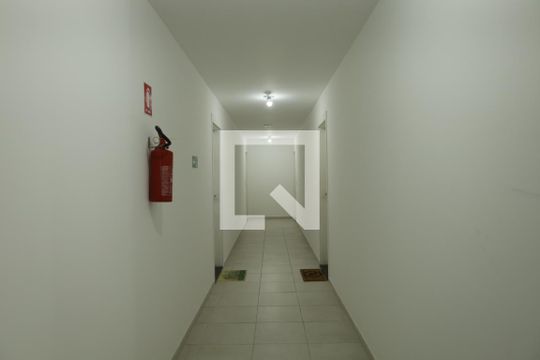 Área comum - Saguão do andar de apartamento à venda com 2 quartos, 35m² em Vila Carmosina, São Paulo