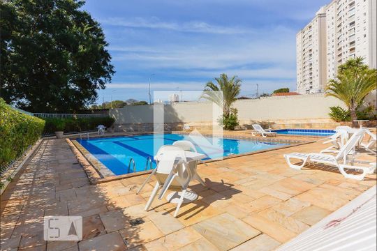 Área comum - Piscina de apartamento à venda com 2 quartos, 55m² em Jardim Miranda, Campinas