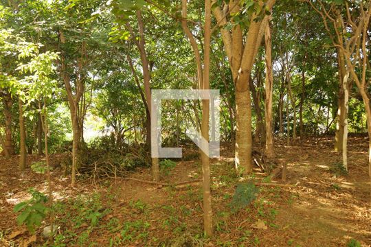 Área comum - Área verde de apartamento à venda com 2 quartos, 54m² em Vila Curuçá Velha, São Paulo