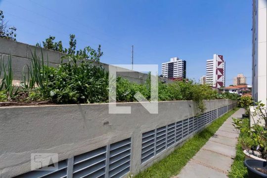 Área comum de apartamento à venda com 2 quartos, 57m² em Vila Monte Alegre, São Paulo