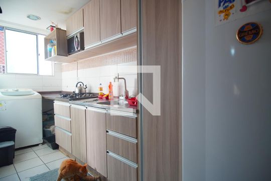 Cozinha de apartamento para alugar com 2 quartos, 40m² em Rubem Berta, Porto Alegre