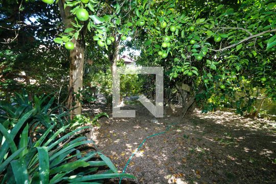 Quintal de casa para alugar com 4 quartos, 220m² em Cristal, Porto Alegre