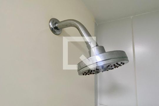 Banheiro de apartamento para alugar com 2 quartos, 45m² em Quinta da Paineira, São Paulo