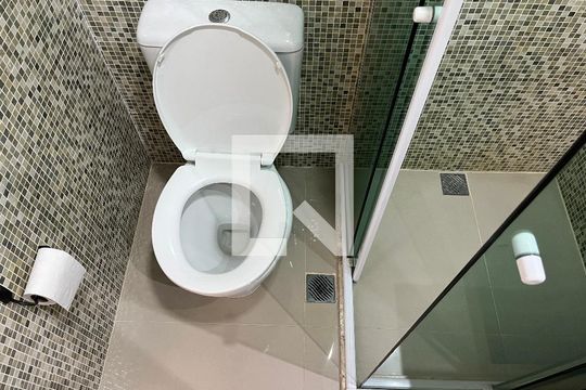 Banheiro de apartamento para alugar com 2 quartos, 62m² em Barra Funda, São Paulo