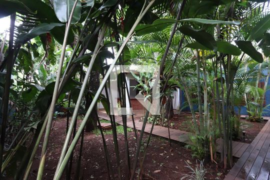 Quintal ajardinado de casa à venda com 3 quartos, 574m² em Aclimação, São Paulo