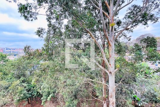 Vista do Quarto 2 de apartamento para alugar com 2 quartos, 38m² em Jardim Albertina, Guarulhos