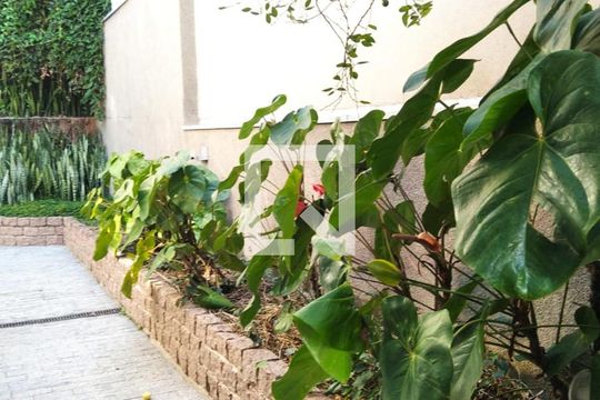 Quintal de casa à venda com 4 quartos, 700m² em Morumbi, São Paulo