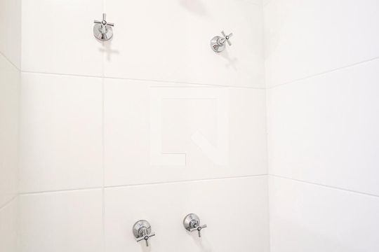 Chuveiro do Banheiro de apartamento para alugar com 2 quartos, 38m² em Chácara Santo Antônio (zona Leste), São Paulo