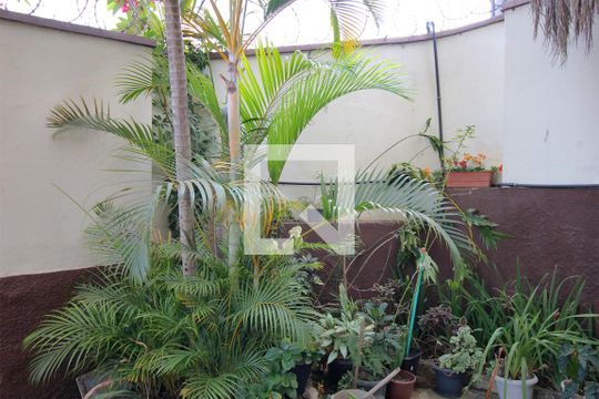 Jardim de apartamento para alugar com 3 quartos, 75m² em Boa Vista, Belo Horizonte