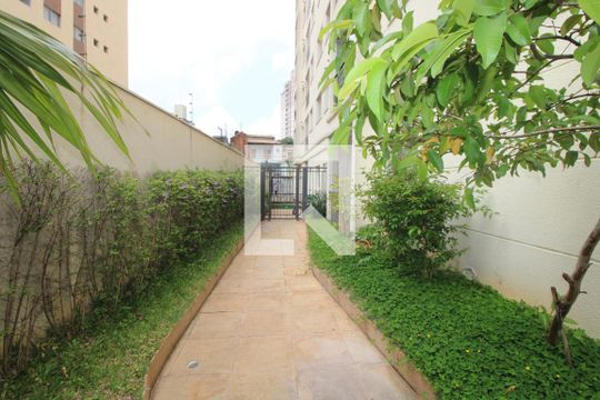Área Comum - Jardim de apartamento à venda com 3 quartos, 76m² em Vila Dom Pedro Ii, São Paulo