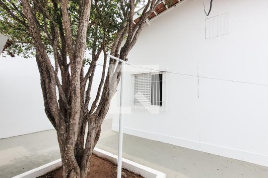 Quintal de casa para alugar com 3 quartos, 148m² em Parque São Quirino, Campinas