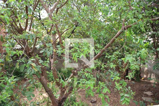 Quintal de casa para alugar com 5 quartos, 350m² em Califórnia, Belo Horizonte