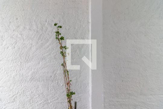 Vista da Sala/Quarto de casa para alugar com 1 quarto, 40m² em Vila Palmeiras, São Paulo