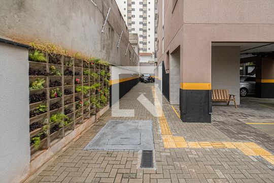 área de convivência_2 de apartamento para alugar com 2 quartos, 49m² em Vila Moinho Velho, São Paulo
