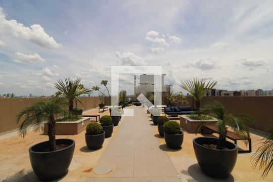 Área Comum - Terraço de apartamento para alugar com 2 quartos, 35m² em Parada Inglesa, São Paulo