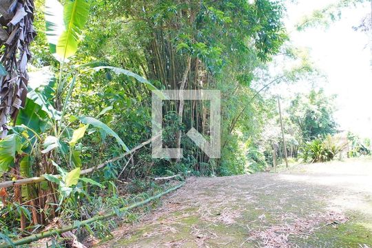 Pátio de casa para alugar com 4 quartos, 300m² em Lagoa da Conceição, Florianópolis