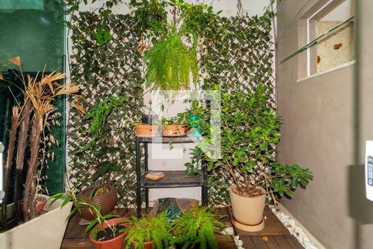 Jardim de Inverno de casa à venda com 4 quartos, 295m² em Água Rasa, São Paulo