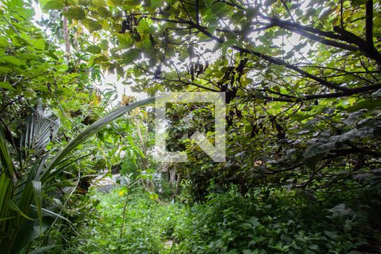 Quintal de casa à venda com 3 quartos, 500m² em Frei Leopoldo, Belo Horizonte