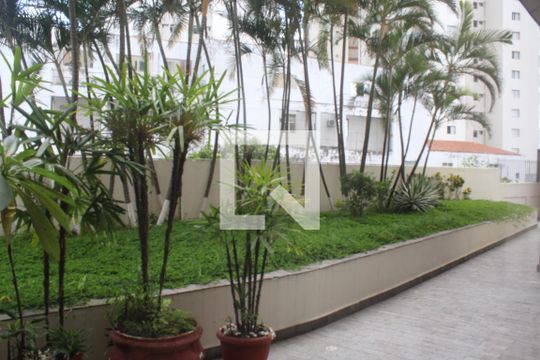 Área comum - Verde de apartamento à venda com 3 quartos, 95m² em Parque Mandaqui, São Paulo