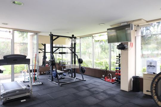Área comum - Academia de apartamento à venda com 2 quartos, 56m² em Vila Santana, São Paulo