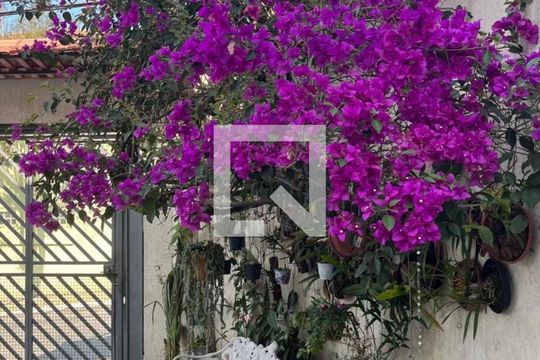 Quintal - Garagem de casa para alugar com 3 quartos, 79m² em Cidade Vargas, São Paulo