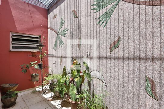 Jardim de inverno  de casa à venda com 3 quartos, 220m² em Vila Invernada, São Paulo