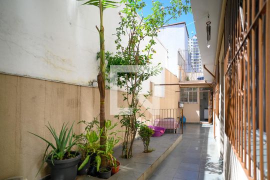 Quintal de casa à venda com 4 quartos, 248m² em Vila Liviero, São Paulo