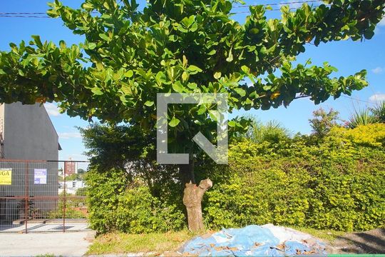 Fachada de casa à venda com 3 quartos, 85m² em Guarani, Novo Hamburgo