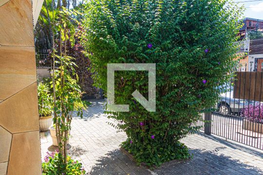 Jardim de casa para alugar com 4 quartos, 280m² em Jardim Campo Grande, São Paulo