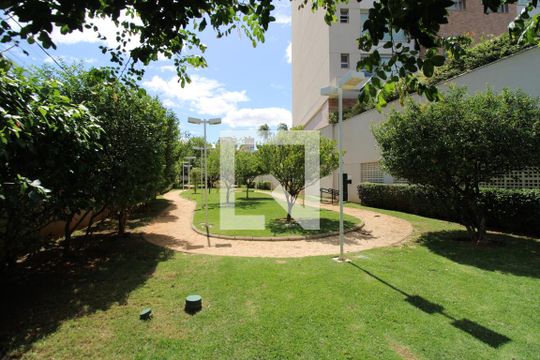 Área comum - Pista de caminhada de apartamento à venda com 2 quartos, 81m² em Cambuí, Campinas