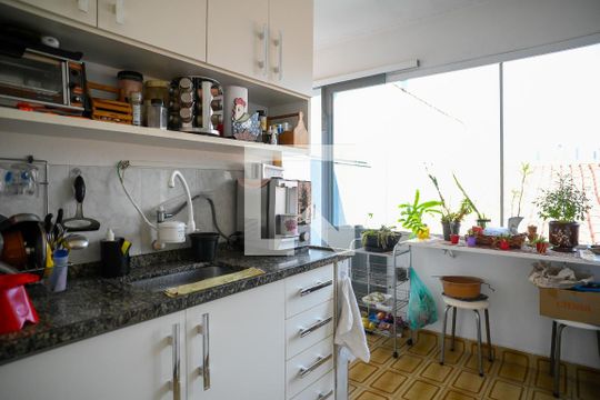 Edícula - Cozinha de casa à venda com 5 quartos, 220m² em Vila Santo Estefano, São Paulo