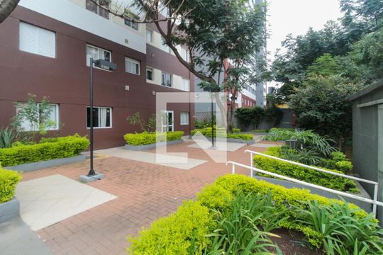 Área comum de apartamento para alugar com 1 quarto, 34m² em Cambuci, São Paulo
