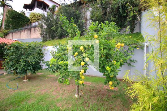 Quintal de casa à venda com 2 quartos, 221m² em Santa Lúcia, Belo Horizonte