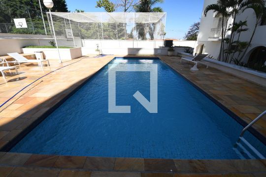 Área comum - Piscina de apartamento para alugar com 3 quartos, 88m² em Jardim das Paineiras, Campinas