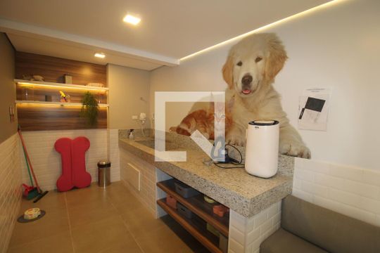 Área Comum de apartamento à venda com 1 quarto, 31m² em Casa Verde, São Paulo
