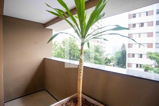 Área comum de kitnet/studio para alugar com 1 quarto, 33m² em Vila Gumercindo, São Paulo