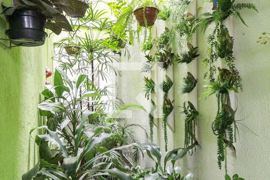 Jardim de inverno de casa à venda com 3 quartos, 115m² em Itaquera, São Paulo