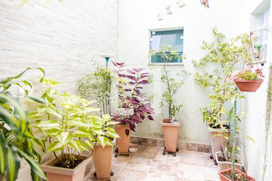 Jardim de Inverno de casa à venda com 3 quartos, 199m² em Vila Curuçá, Santo André