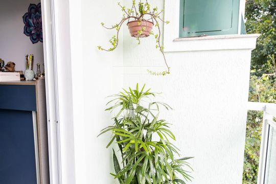 Varanda de casa à venda com 3 quartos, 199m² em Vila Curuçá, Santo André