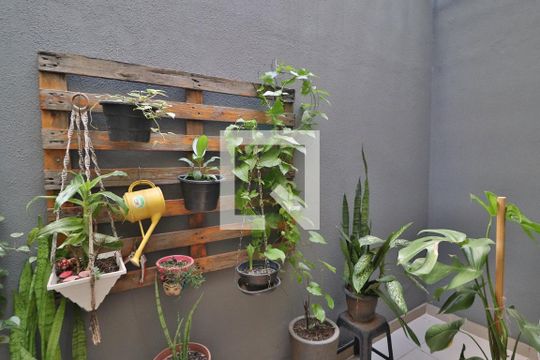 Jardim de Inverno de casa para alugar com 3 quartos, 160m² em Santa Mônica, Uberlândia