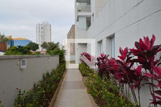 Área comum de apartamento à venda com 2 quartos, 50m² em Cambuci, São Paulo