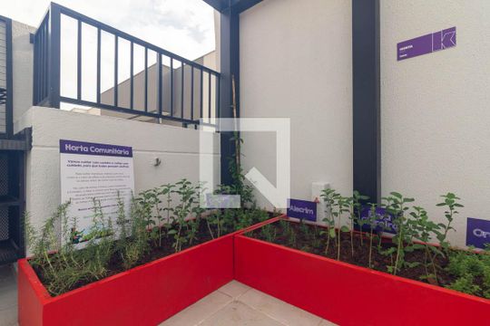 Área comum - Horta de apartamento para alugar com 1 quarto, 28m² em Centro Histórico de São Paulo, São Paulo