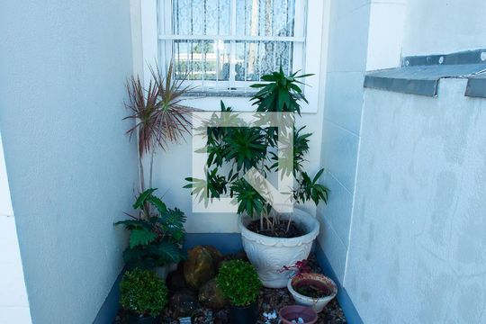 Jardim de casa para alugar com 2 quartos, 55m² em Igara, Canoas