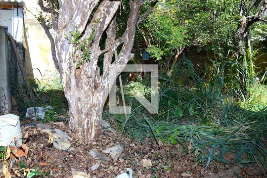 Quintal de casa à venda com 3 quartos, 300m² em Carlos Prates, Belo Horizonte