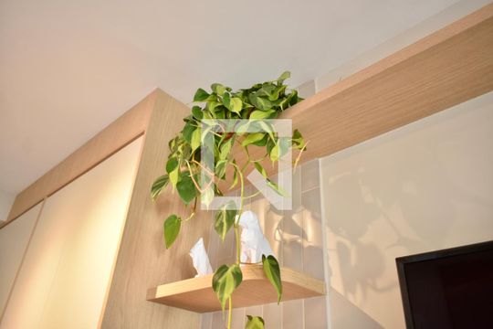 Studio de kitnet/studio à venda com 0 quarto, 27m² em Mirandópolis, São Paulo