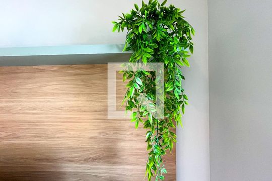 Studio de apartamento para alugar com 1 quarto, 28m² em Barra Funda, São Paulo