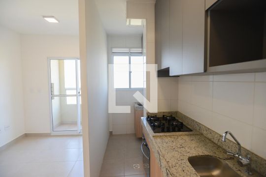 Cozinha de apartamento para alugar com 2 quartos, 48m² em Recreio das Acacias, Ribeirão Preto