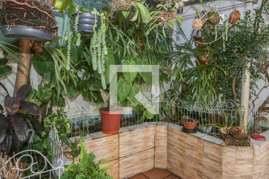 Quintal de casa para alugar com 2 quartos, 150m² em Alto da Lapa, São Paulo